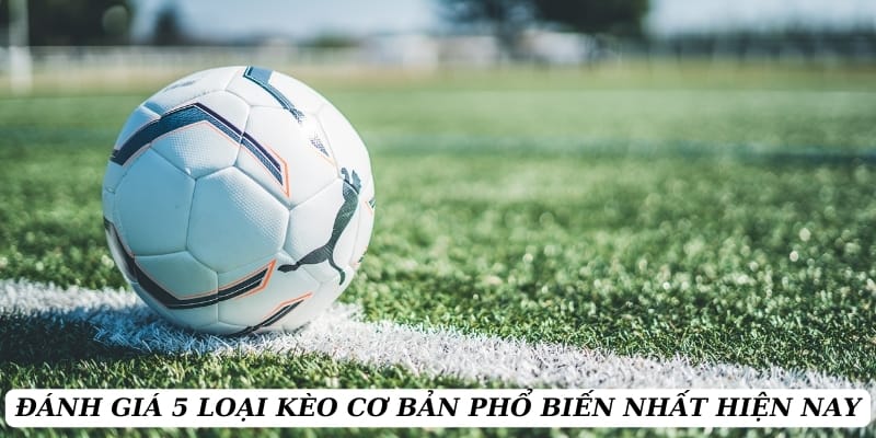 ty-le-keo-5-loai-keo-pho-bien (2)