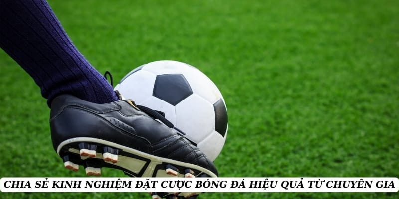 ty-le-keo-meo-dat-cuoc (1)